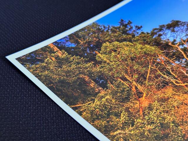Fine Art Print